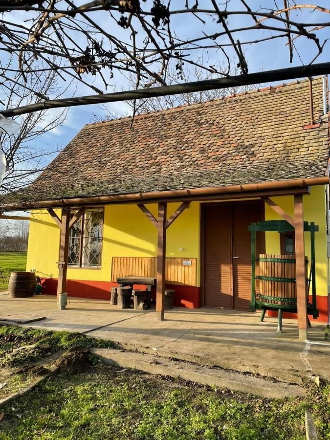 Het Hongaarse Wijnhuis Mohács المظهر الخارجي الصورة